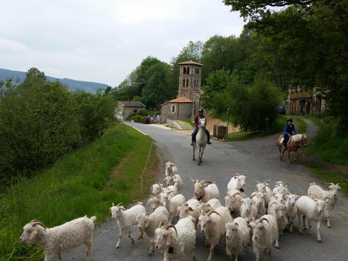 La Begude D'Amalthee Villa Vernay Luaran gambar